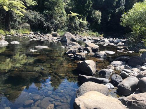 The Dome Waikino