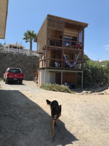 Tongoy Beach Tinyhouse