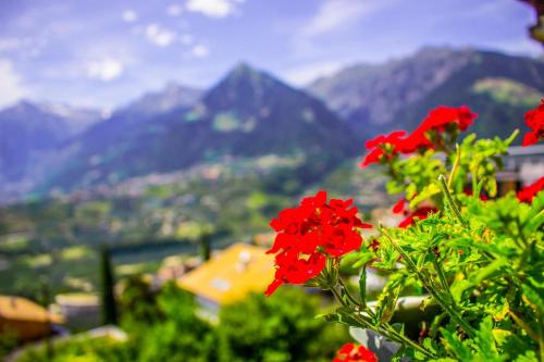 Schenna Garni Eden Bed & Breakfast - image 13