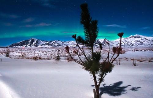 Photo - Hotel Laxarbakki