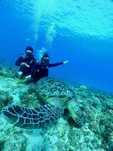 Stay Liuqiu Diving Hostel - 스포츠&체험활동