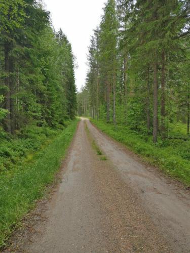 Lahderinne - Beachfront 2 bedroom log cabin, private beach & sauna