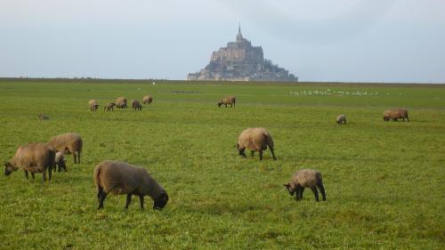 Le Clos Doux - Les Biards