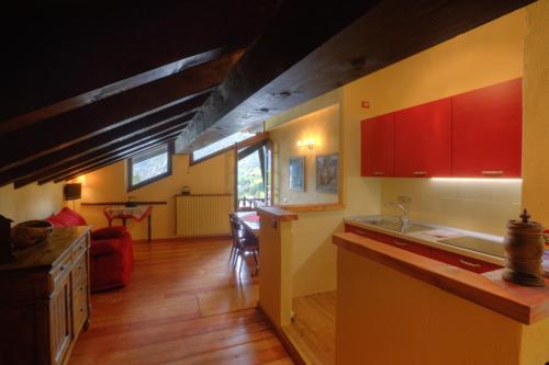 廚房, 埃米爾雷伊CAV公寓 (Residence CAV Emile Rey) in 拉薩克斯