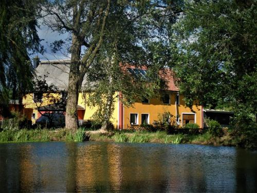 Ferienhof im grünen Herzen - Apartment - Dittersdorf