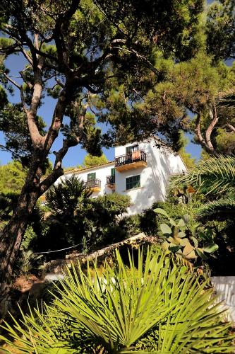 Hostal Los Pinos – Cala San Vicente, NJ