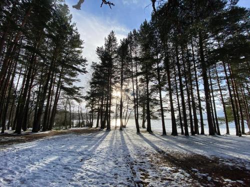 Cairngorm Guest House