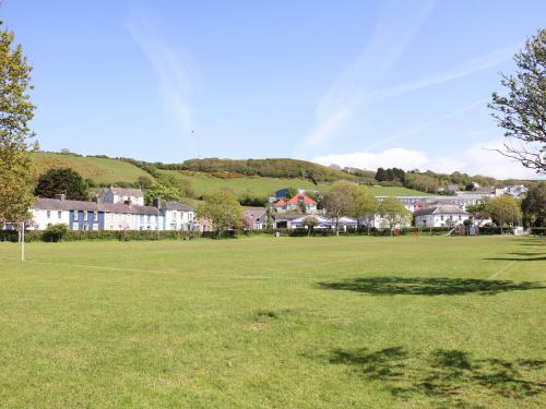 Blaenywawr Lampeter - image 2