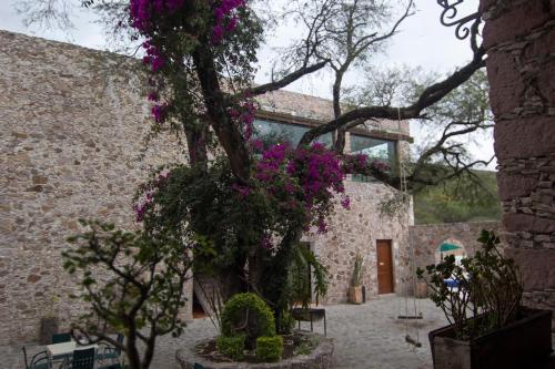 HOTEL ECOTURISTICO LA SALITRERA in San Juan del Rio