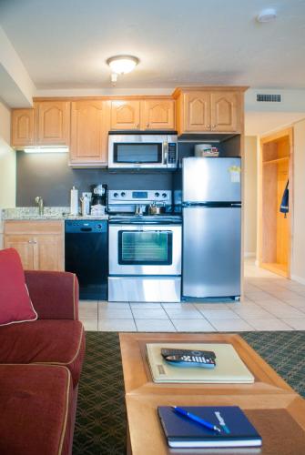 Deluxe One-Bedroom Apartment