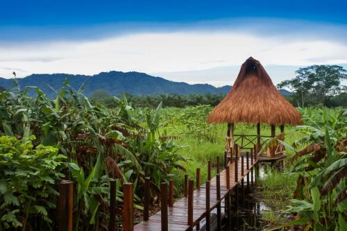 Rionilo Ecolodge - Tours