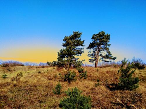 Apkārtne, Audringa in Neringa