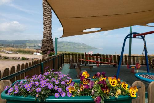 주변 환경, 마간 홀리데이 빌리지 키부츠 호텔 (Maagan Holiday Village Kibbutz Hotel) in 마간