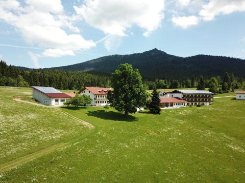 Osserhotel - B&B am Osser, Lohberg