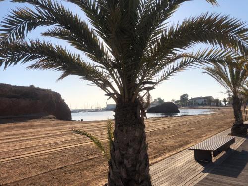 Our Sol in Mazarron