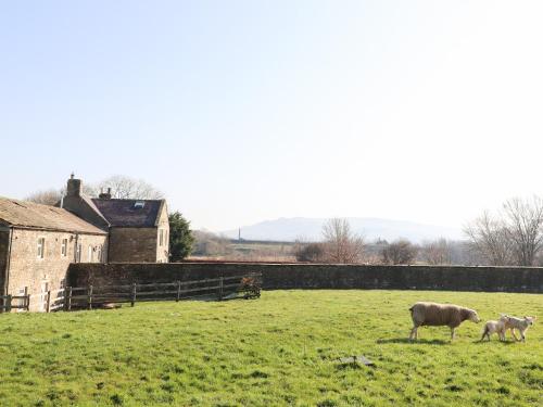 Zoey Cottage - image 11