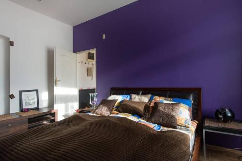 Komfortowy apartament - obok Rynku, Cracovie (photo 6)