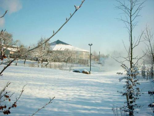 花園, Pension Irene Nist in 巴德比恩巴赫