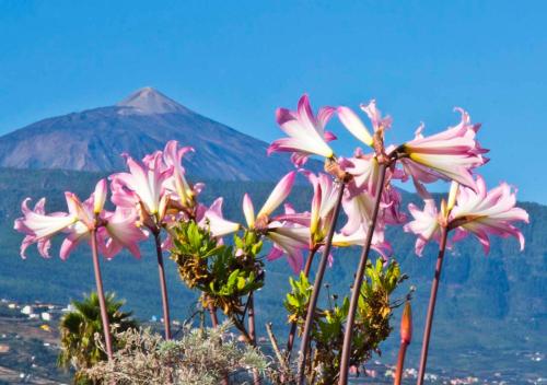 Casa del Pintor gîte à louer El Sauce