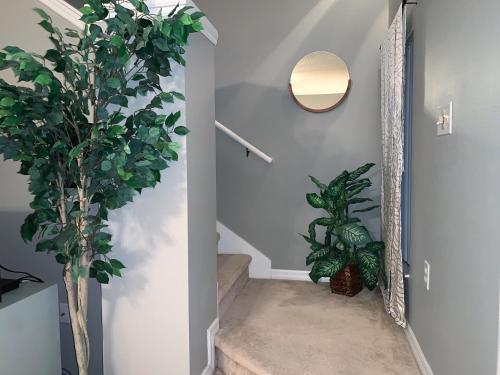 Terra Verde Vacation Rentals in Kissimmee, USA