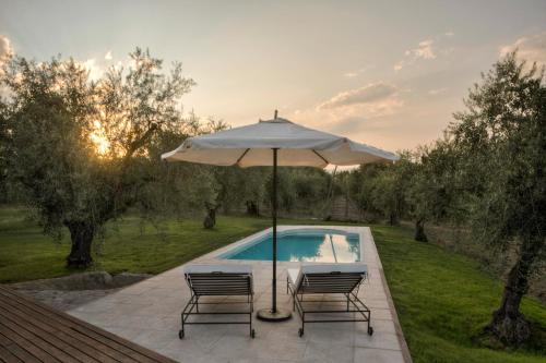 Swimming pool, Posada Verde Oliva in Maipu