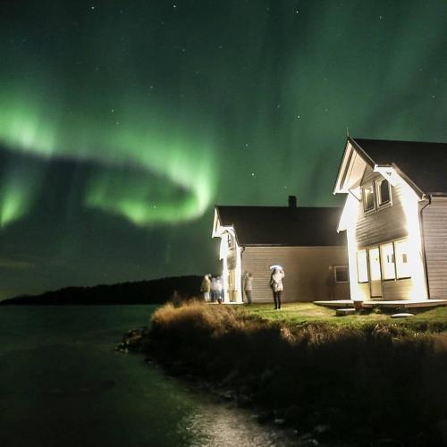 Senja arctic lodge - Accommodation - Stonglandseidet