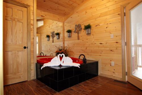 Endless Mountain Dreams, Gatlinburg (foto 4)