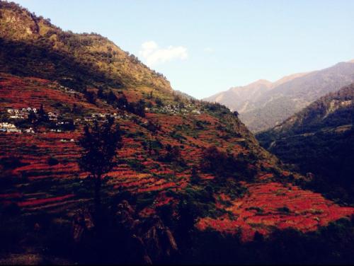 Solitude Homestay, Agoda photo