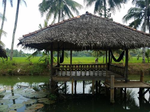 Bale Ku Resort