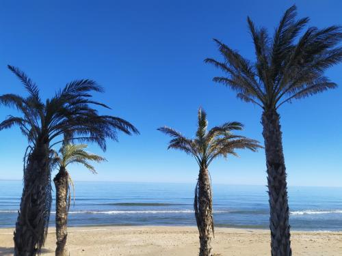 Hostal El Perelló, Valencia