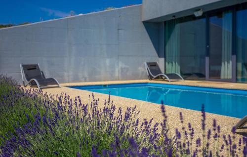 Holiday house OLIVETO - image 5