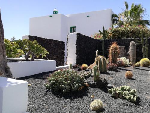 Apartamentos Las Palmeras - image 11