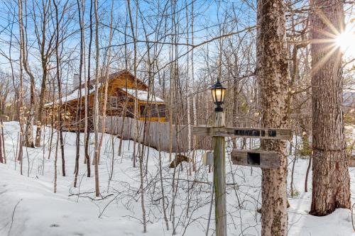 Mountain Hound Lodge - main image