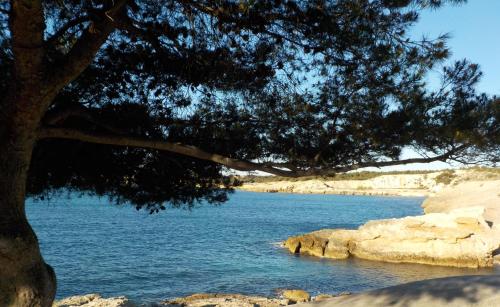 Programlehetőségek, LES LAURIERS in Sausset-Les-Pins