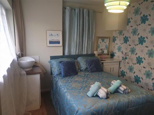 Self Contained Rooms in Central Torquay - image 3