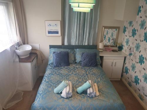 Self Contained Rooms in Central Torquay - image 4