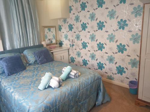 Self Contained Rooms in Central Torquay - image 8