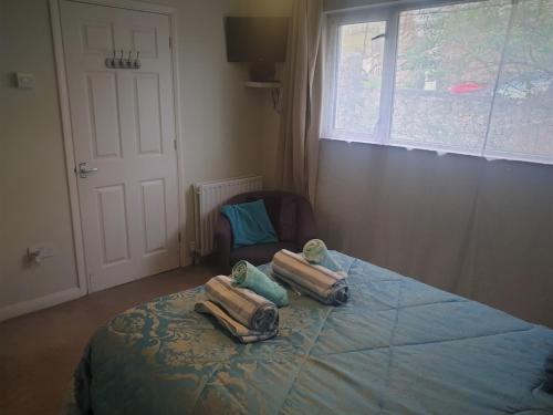 Self Contained Rooms in Central Torquay - image 5