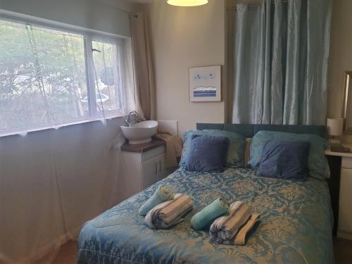 Self Contained Rooms in Central Torquay - image 6