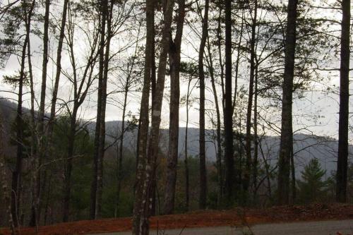 Cherokee Dream Mountain Lodge in Epworth, USA