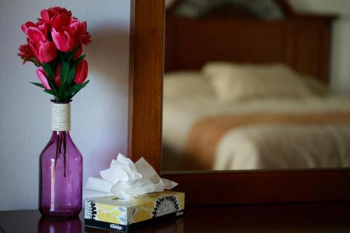 Molinillos Mountain Resort