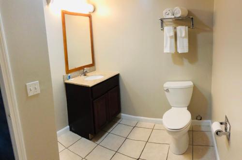 Red Roof Inn & Suites Swansea - 화장실