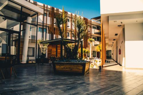 . HOTEL MINA REAL MATEHUALA