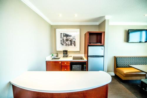 Port Royal Oceanfront Hotel - image 5