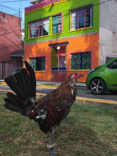La Frida Casa Mexicana Lila 2o piso in Mexico City, Mexico