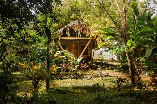 Wildlife Lodge Cahuita Cahuita