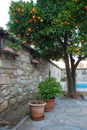 Nazar Hotel - image 5