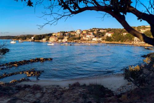 Apartments by the sea Supetarska Draga - Gonar Rab - 16738 - image 6