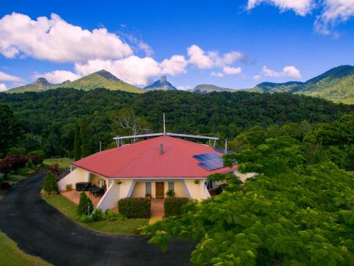 A view of Mount Warning