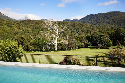 A view of Mount Warning